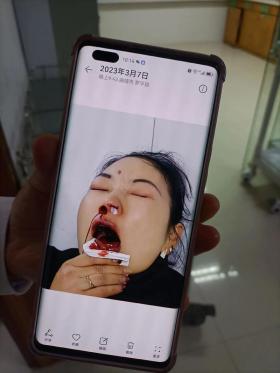 人心难辨，慎言真假——探索真真假假的句子背后的深意
