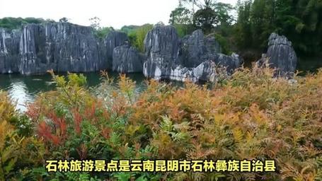 庵山：自然与文化的瑰宝