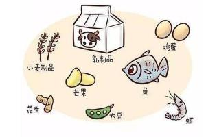 大脑白质发育不良：症状影响与日常饮食调理指南