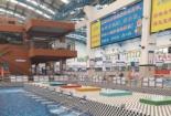 健康活水世界：东莞市专业游泳体验新篇章