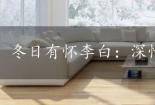 冬日有怀李白：深情思念与友情回忆