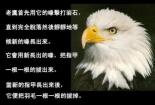 抓住机遇的例子：人生转折与成功的启示