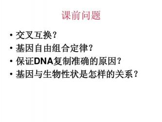 基因突变与基因重组：探索生命密码的教学之旅