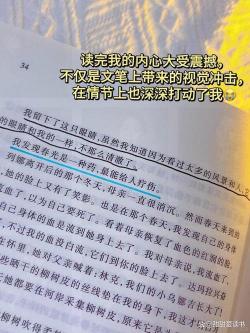 关于生命的诗：坚韧、无私、宝贵与多变的赞歌