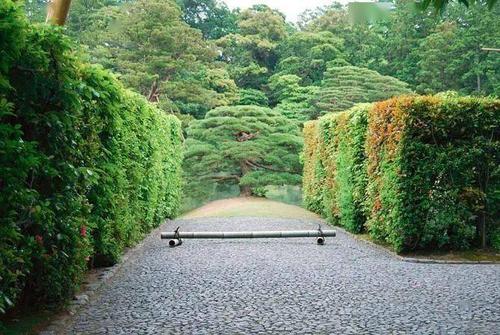 京都桂离宫：历史的瑰宝，日式庭院艺术的典范