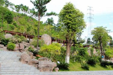 南京狮子山公园：人文与自然景观的完美融合