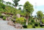 南京狮子山公园：人文与自然景观的完美融合