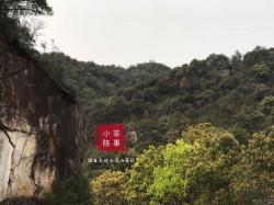 雨前之景：期待中的润泽与生机