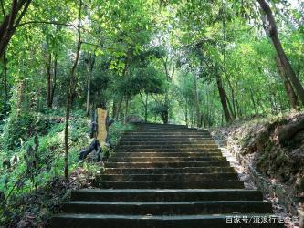 歌乐山森林公园：重庆的户外探险与休闲胜地