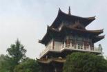 中国国花园：隋唐古城遗址上的牡丹花海