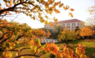 中国海洋大学：探索海洋奥秘，这些特色专业你不能错过！