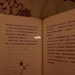如果什么就什么：生活中的条件与结果解析