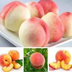 桃子吃多了会怎么样：过量食用桃子的潜在危害