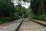 厦门铁路公园：怀旧风情与自然美景的完美融合