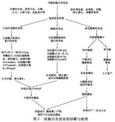 什么是再生障碍性贫血？深入解析其病因、治疗与日常注意事项