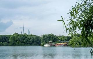广州湖心岛旅游风景区：自然风光与宁静生活的完美结合