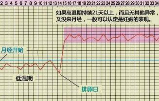 怀孕期间体温变化及注意事项：了解孕期体温变化，保障母婴健康