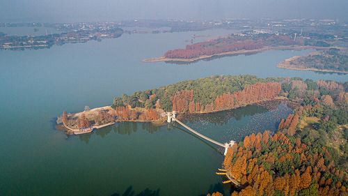 武汉落雁岛：东湖之畔的度假胜地，尽享自然之美