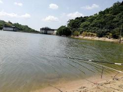 石兜水库：厦门的免费垂钓胜地与自然露营天堂
