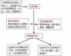 发烧症状：理解身体与疾病的微妙关系