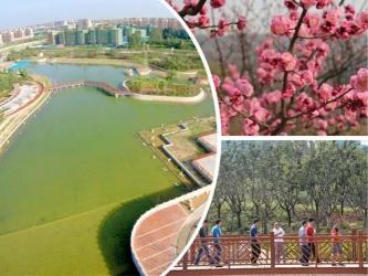 郑州国家森林公园：自然与人工的和谐共生，探索多样植被的乐园