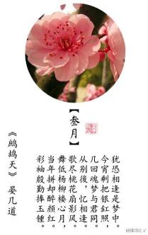 意境最美的中国古诗词：花开花落，人生如梦，相思入骨