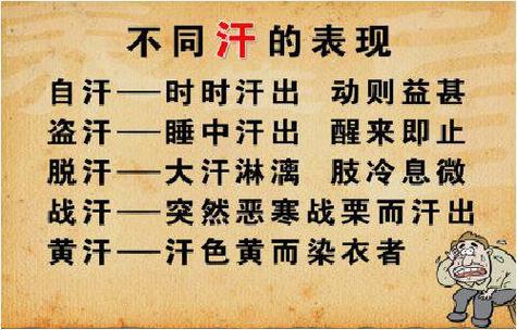 大量出汗的原因及应对方法：从生理反应到心肾不交