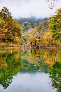 喇叭河：探秘四川的野生动植物乐园与壮美山地景观