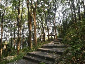 铁山坪森林公园：自然与人文的完美融合，旅游度假胜地