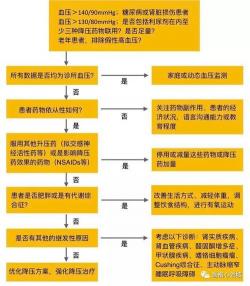 高血压放血疗法解析：原理、适用人群与操作指南