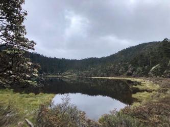 探访老君山九十九龙潭：冰蚀湖泊群的美妙奇观