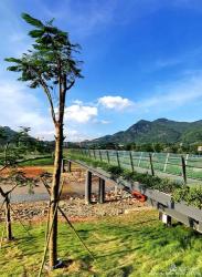 碧岭生态村：回归自然，享受田园风光的理想之地