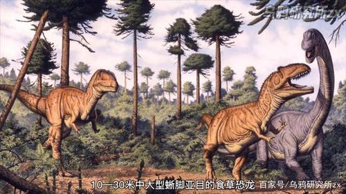 恐怖鸟：南美洲的霸主与恐龙的接班人