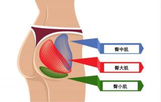 臀大肌锻炼方法：打造完美翘臀的秘诀