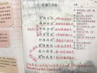 浅探古诗《咏柳》的诗意：人生的感悟与哲理