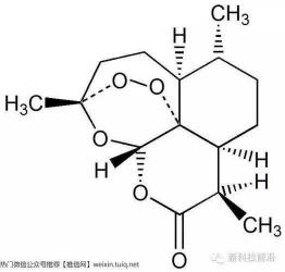 青蒿素：从传统医药到现代抗疟神药的传奇发现之旅