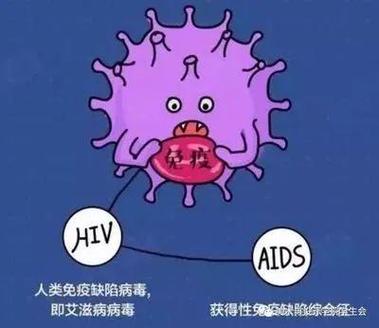 HIV病毒：一种破坏免疫系统的疾病