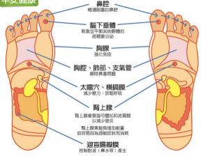 脚掌疼痛原因解析：从骨刺到鞋子，一一揭秘