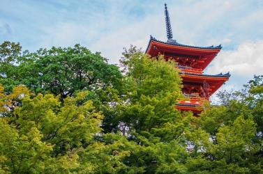 京都清水寺：历史的回音与自然的美景完美融合