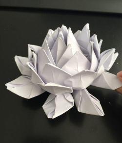 莲花折纸：艺术与学习的完美结合