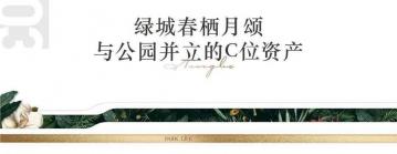 宁波凤凰山主题乐园门票：购买指南与优惠信息