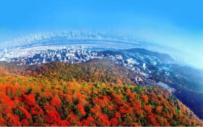 长沙岳麓山门票免费政策详解，赏枫胜地等你来探索！