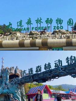 大连森林动物园门票价格及优惠信息全览