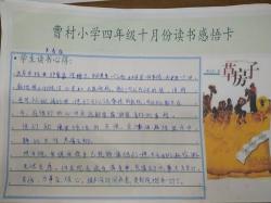 深入阅读之旅：从读书体会中汲取智慧与乐趣