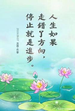 集思广益：博采众议，共谋发展的智慧之道