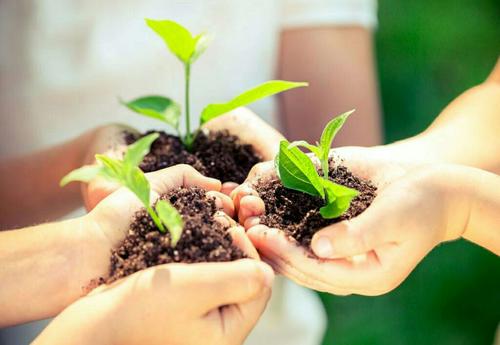 初中生物说课稿：果实和种子的传播 - 探索生命延续的奥秘