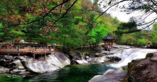 华阳景区：自然风光与动植物资源的完美结合，免费游玩的综合性旅游景区！