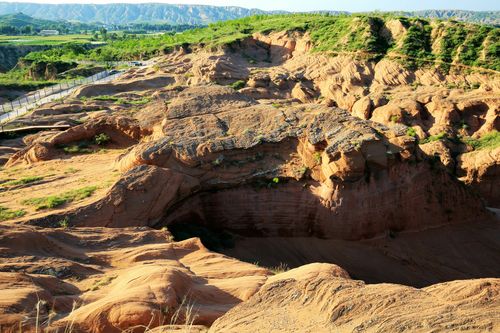 董奉山国家森林公园：沿海沙丘地貌与温暖海洋性气候的生态乐园