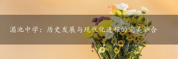 湄池中学：历史发展与现代化进程的完美融合