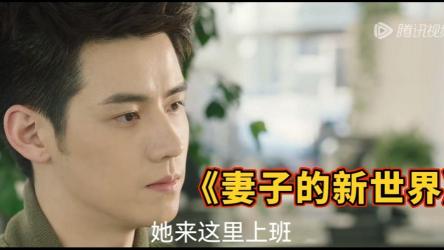 妻子的新世界百度百科：深入解析角色与剧情